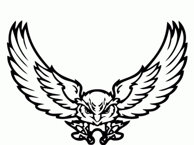 640x480 Burrowing Owl Clipart Flying