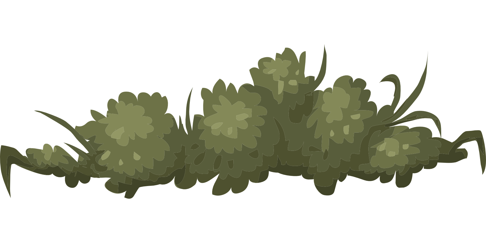 Bush Drawing | Free download on ClipArtMag