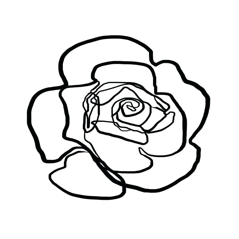 800x800 Picture Of A Drawn Rose Drawn Rose Rose Bush How To Draw Sketching