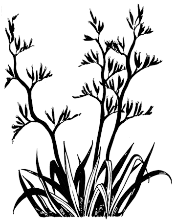 360x450 bushes clipart flax