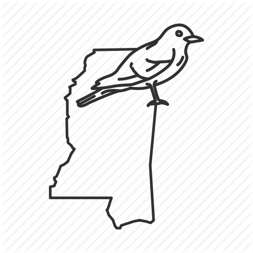 512x512 collection of free mockingbird drawing butcher bird download on ui ex