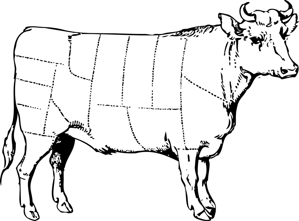 1000x739 Processing Options