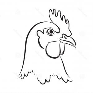 300x300 stock illustration cuts chicken butcher diagram vector