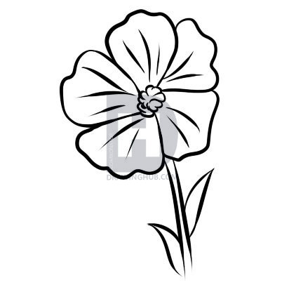 412x406 how to draw a buttercup, step