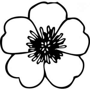 300x300 buttercup flower clip art vector clip art