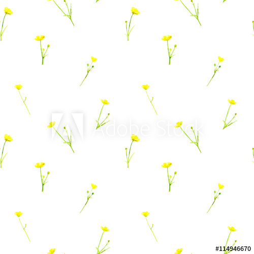 500x500 floral seamless floral pattern with wild flowers