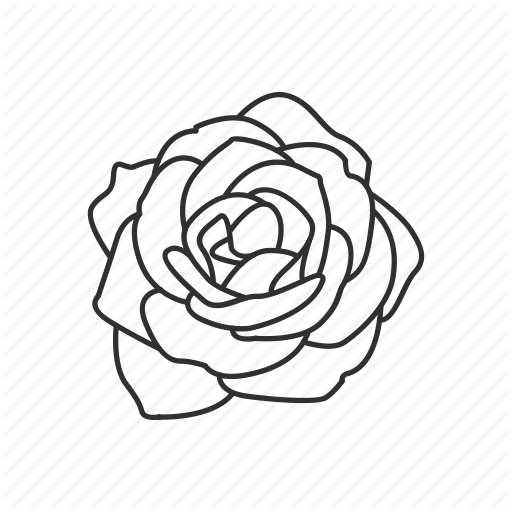 512x512 hybrid drawing flower transparent png clipart free download