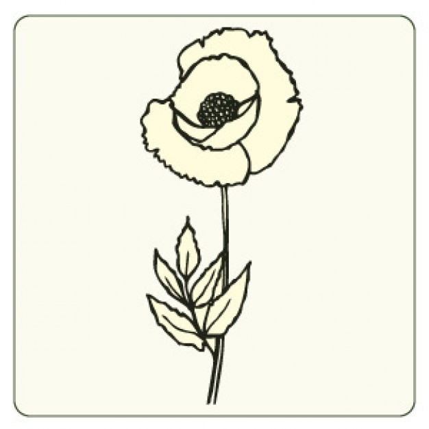626x626 White Flower Drawing Vector Vector Free Download