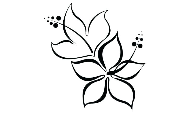 728x447 Hawaiian Flowers Drawings