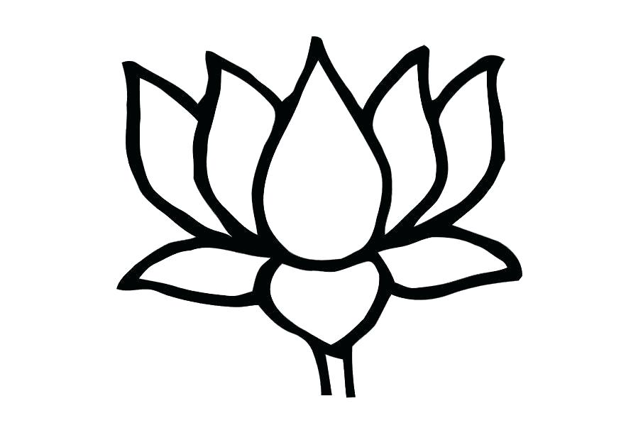 875x620 How Do You Draw A Lotus Flower