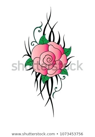 326x470 How To Make A Rose Drawing