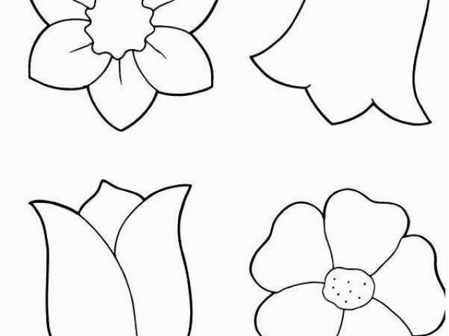 640x480 Buttercup Flower Coloring Pages The What Is The Flower