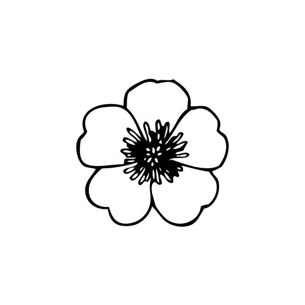 600x600 buttercup flower clip art liked on polyvore featuring flowers