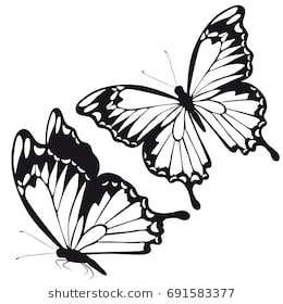 260x280 Collection Of 'butterfly Drawing Black And White' Download More