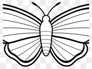 320x240 How To Make A Learn About Butterflies Day With Butterfly