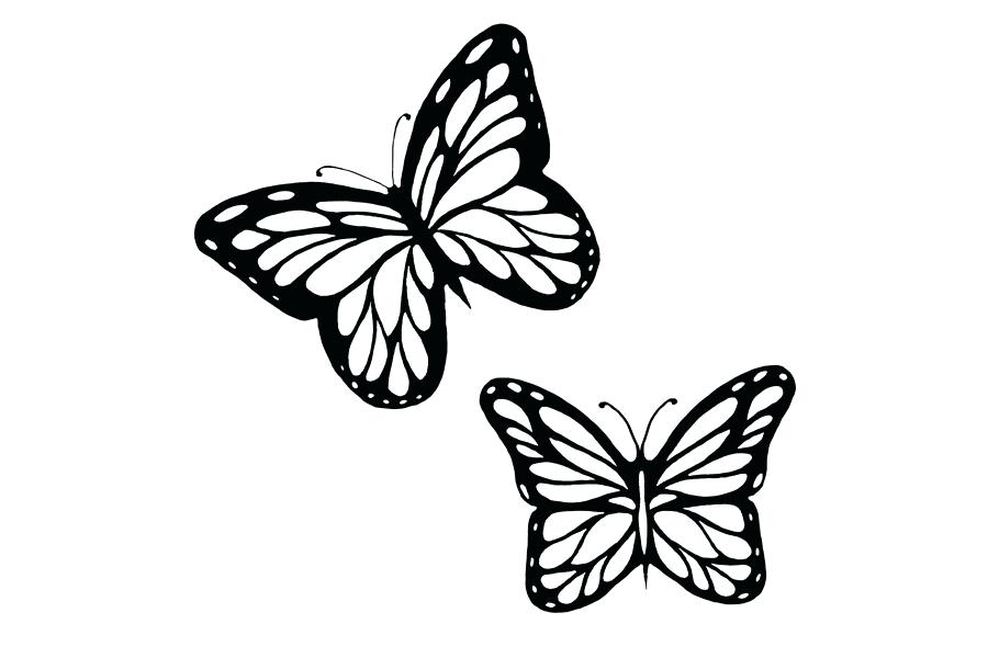 900x600 Huge Collection Of 'monarch Butterfly Drawing Black And White