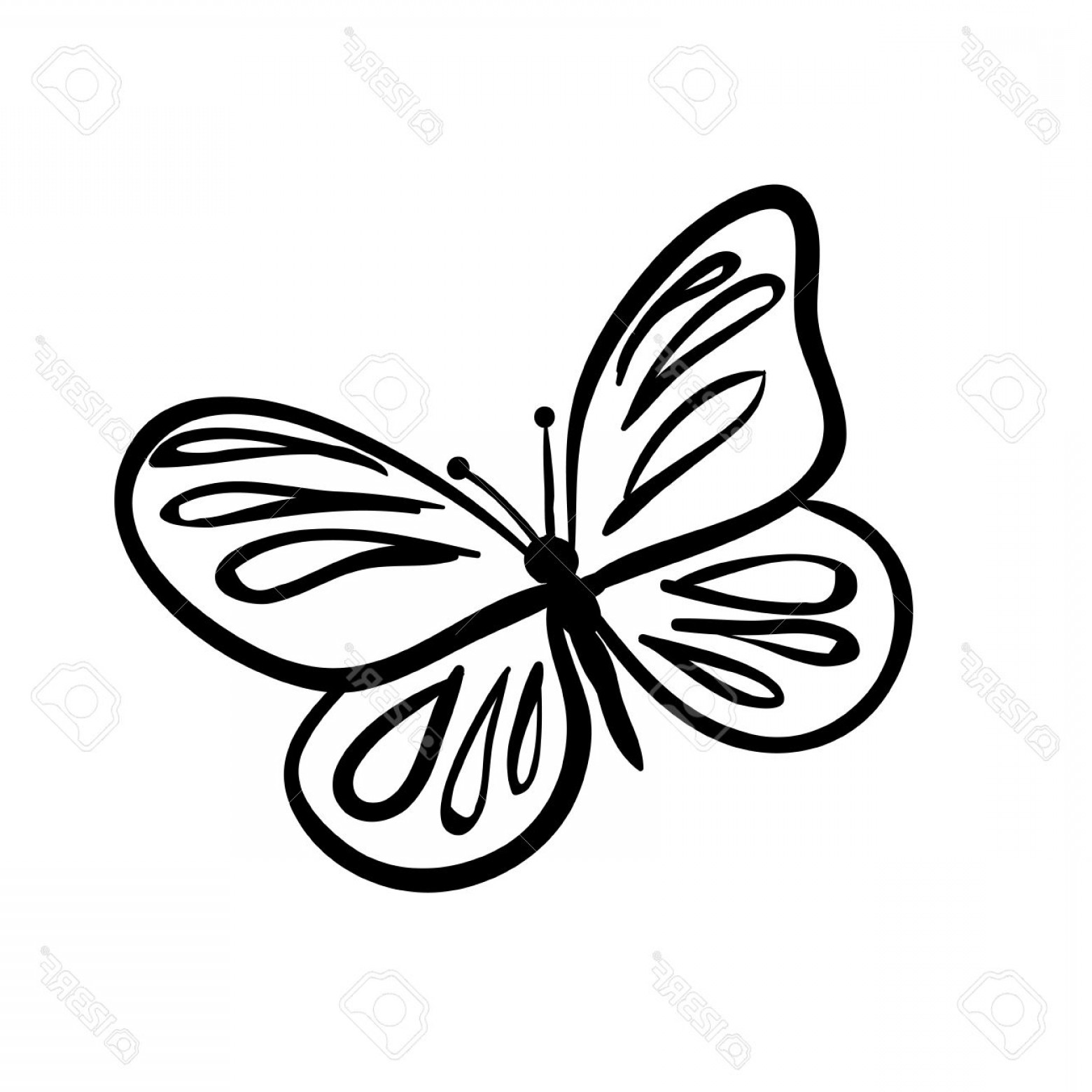 1560x1560 Photovector Hand Drawn Butterfly Black Sketch On White Background