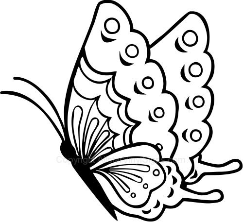 500x457 Pics Of Butterfly For Drawing