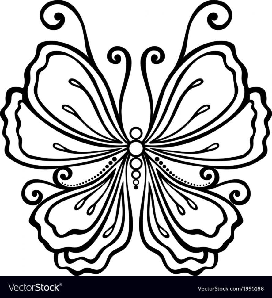 888x972 A Butterfly Drawings Step