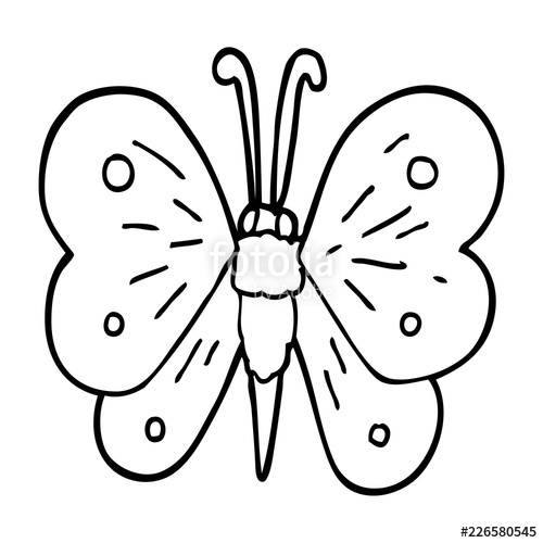 500x500 Line Drawing Cartoon Butterfly Stock Image And Royalty Free