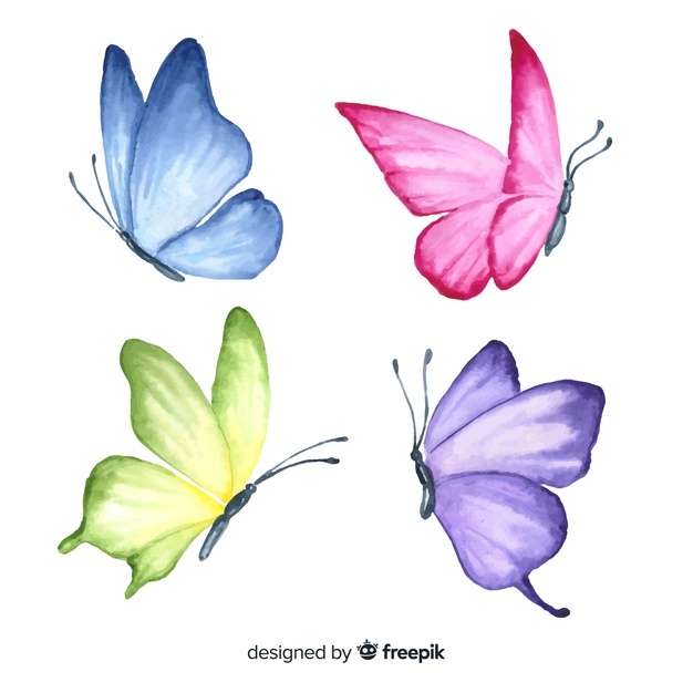 626x626 Butterfly Vectors, Photos And Free Download