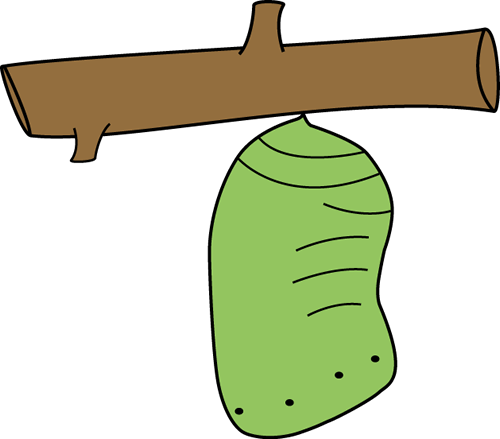 500x439 Collection Of Free Caterpillar Drawing Cocoon Download On Ui Ex