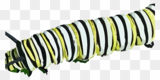 320x160 Inchworm Clipart Butterfly Caterpillar