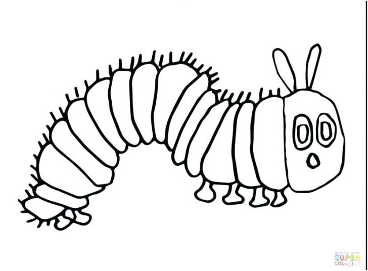 728x536 Monarch Caterpillar Coloring Sheet Very Hungry Butterfly Free