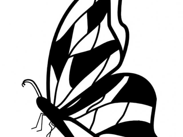 640x480 Butterfly Design Clipart Drawing