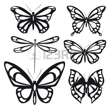 450x450 Butterfly Lifecycle Drawing Clipart Collection