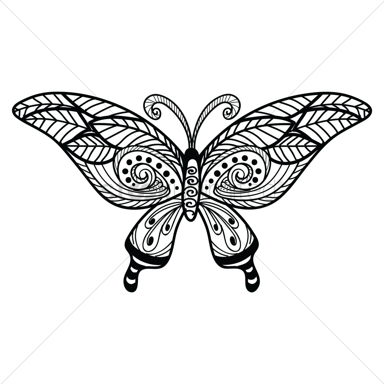 1300x1300 Decorative Butterfly Design Vector Image