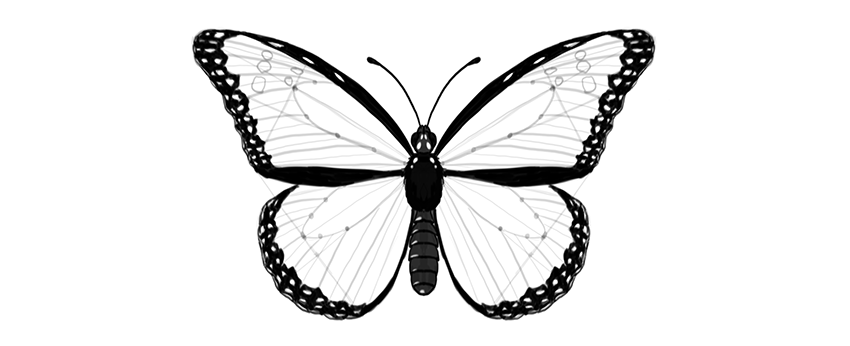 850x346 How To Draw A Butterfly Step