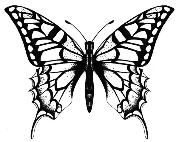 600x474 Huge Collection Of 'butterfly Drawing Designs' Download More Than