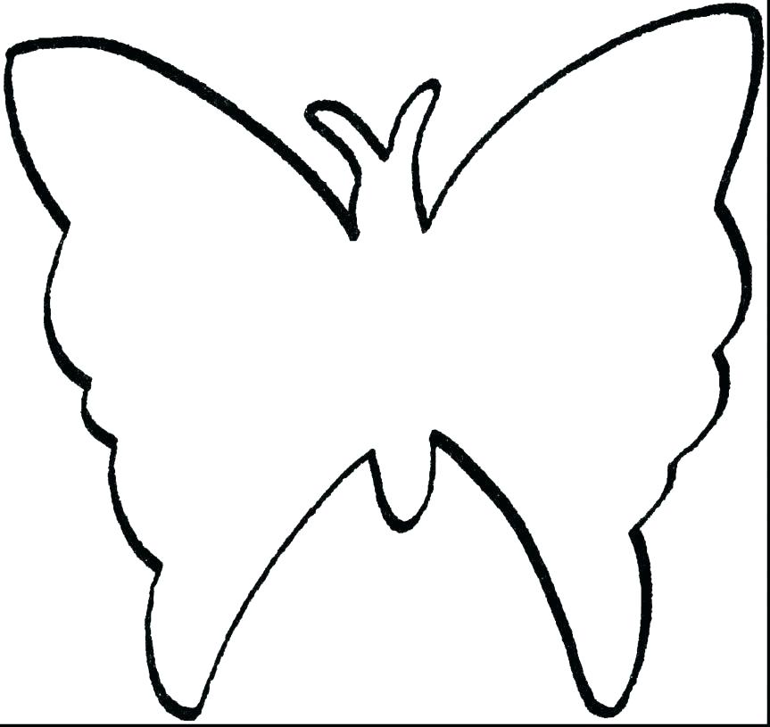 863x815 Outline Butterfly The Transparent Skeleton Of Drawing Used