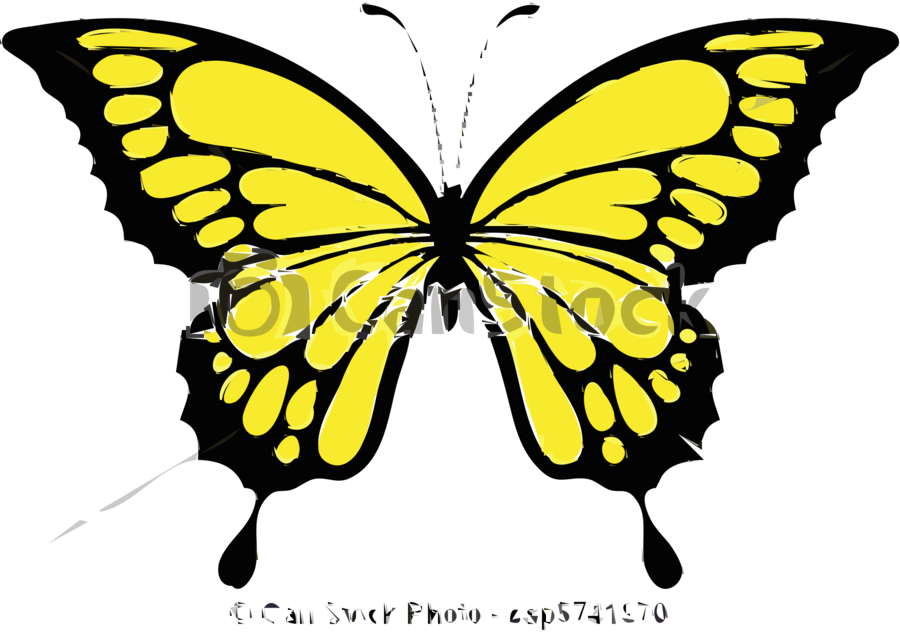 900x632 Butterfly, Drawing, Design, Transparent Png Image Clipart Free
