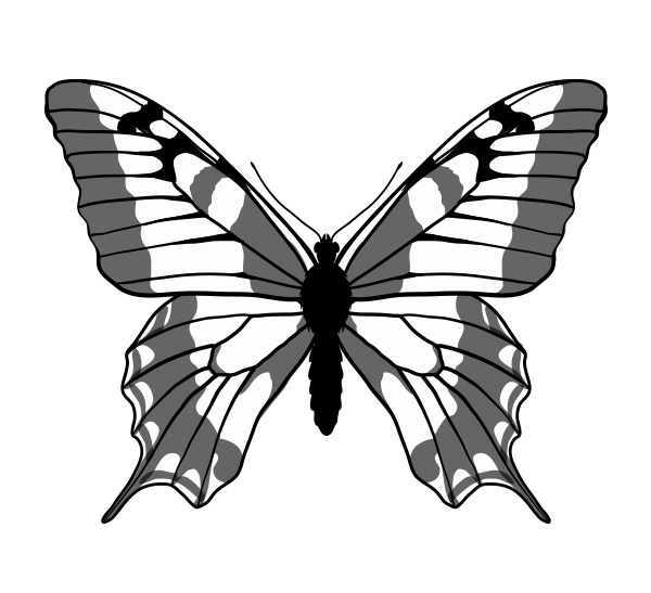 600x547 How To Draw Animals Butterflies, Their Anatomy And Wing Patterns