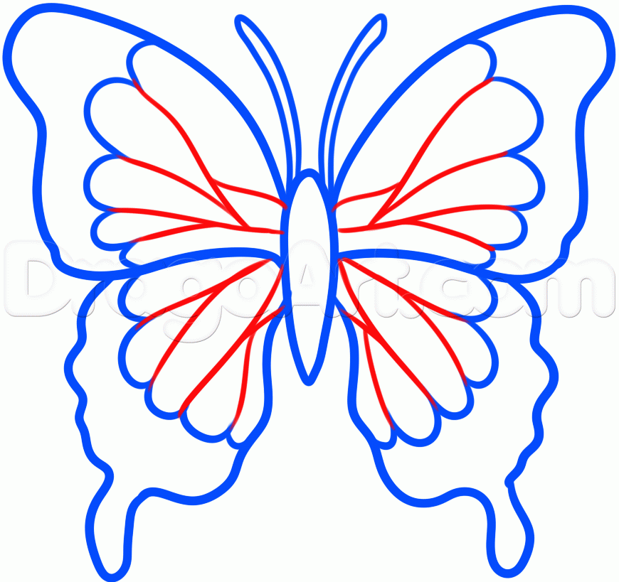 870x819 How To Draw A Black Butterfly, Step