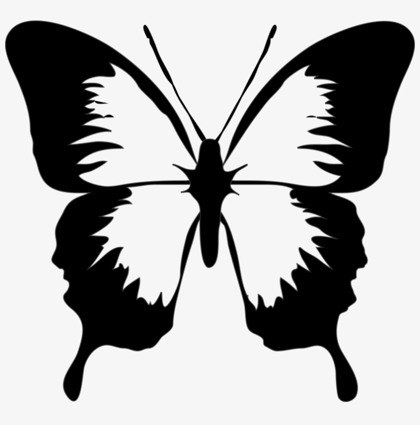 820x830 Monarch Butterfly Drawing Download Computer Icons