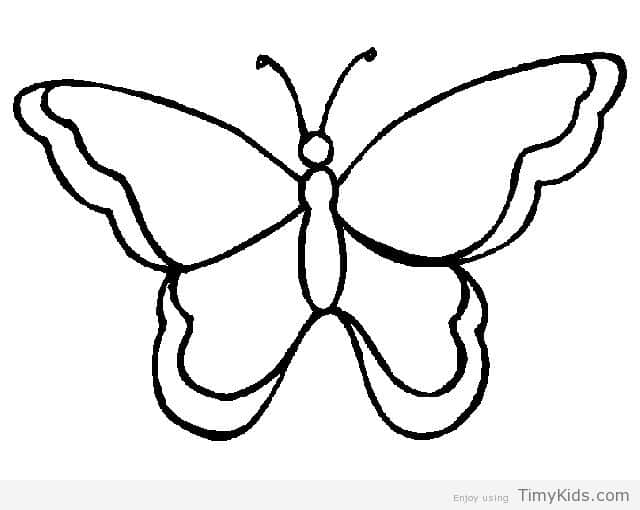 640x510 Butterfly Drawing Cute For Free Download