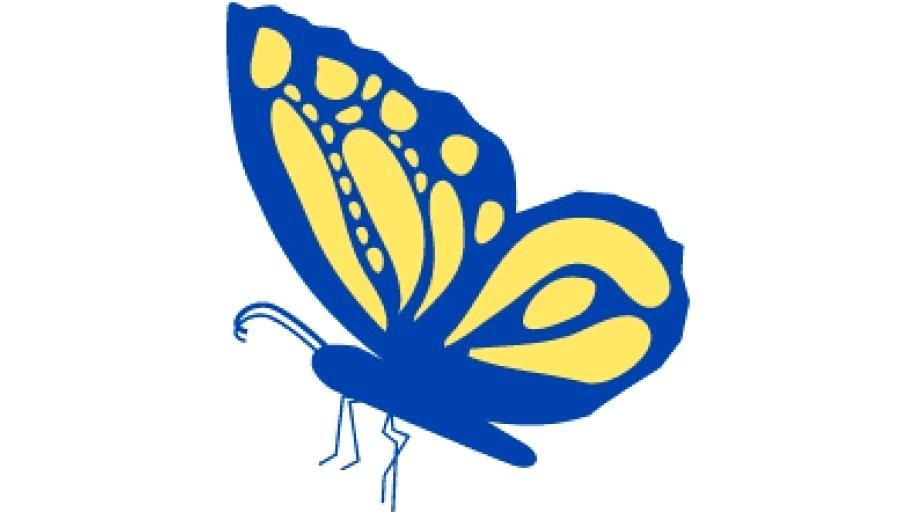 900x520 Butterfly Face Drawing