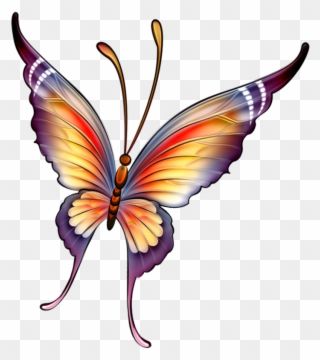 320x360 Butterflies Butterfly Drawing, Butterfly Fairy, Crochet