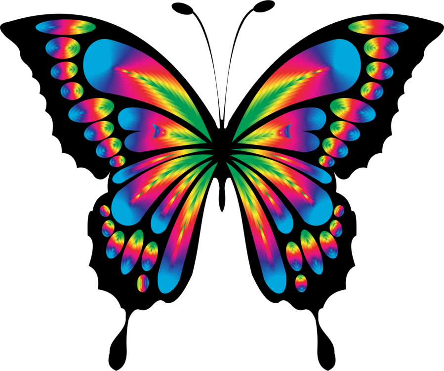 899x750 Butterfly Clip Art For Liturgical Year Drawing Cc0
