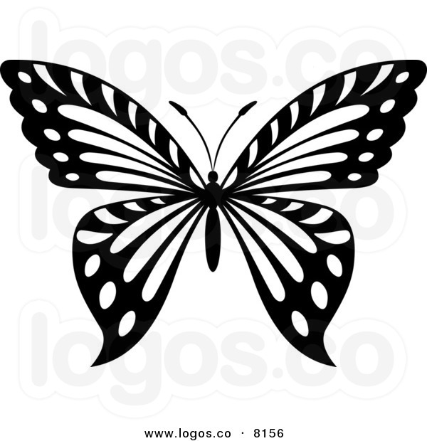 600x620 Butterfly Black And White
