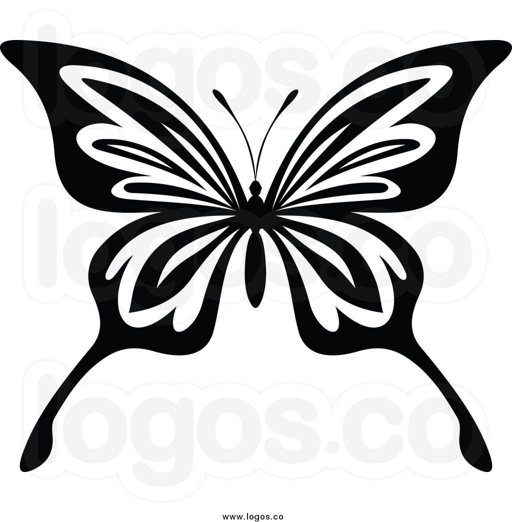 1024x1044 Butterfly Drawings Black And White Of A Black And White