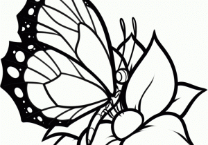 300x210 Black And White Drawings Of Butterflies Black And White Butterfly