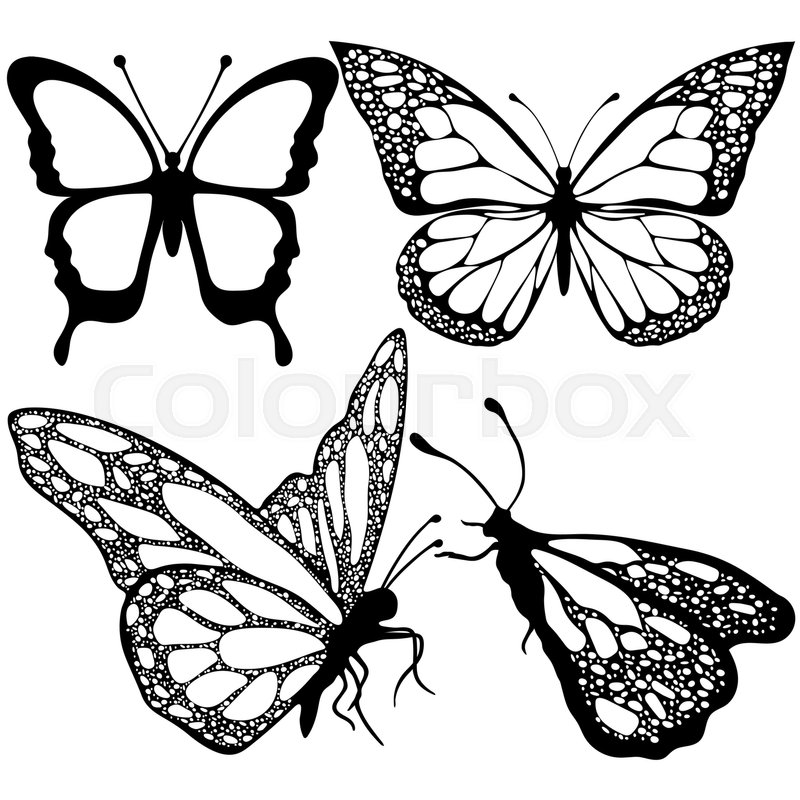 800x800 Butterflies Set, Monochrome, Coloring Stock Vector Colourbox
