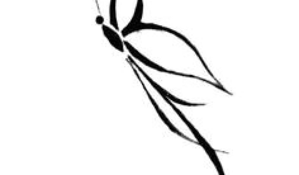 1024x600 Drawing A Easy Butterfly Best Butterfly Drawings Images