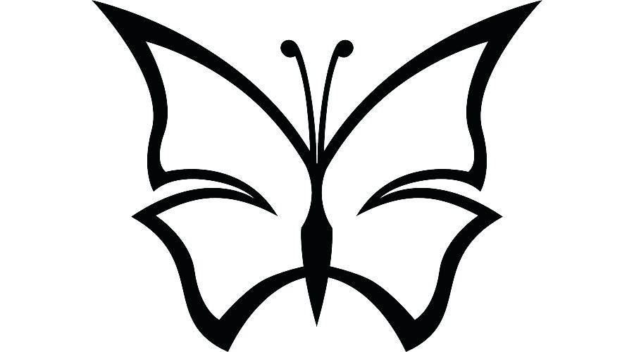 900x500 Easy Butterfly Drawings Butterfly Drawing Easy Drawings