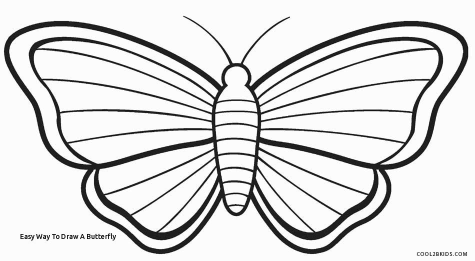 950x522 how to draw a butterfly easy way to draw a butterfly butterfly