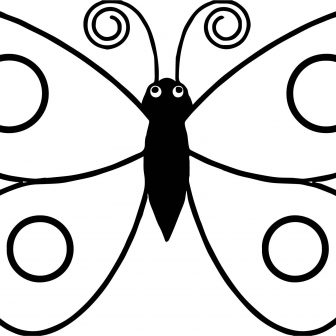 336x336 Butterfly Drawing Easy Step